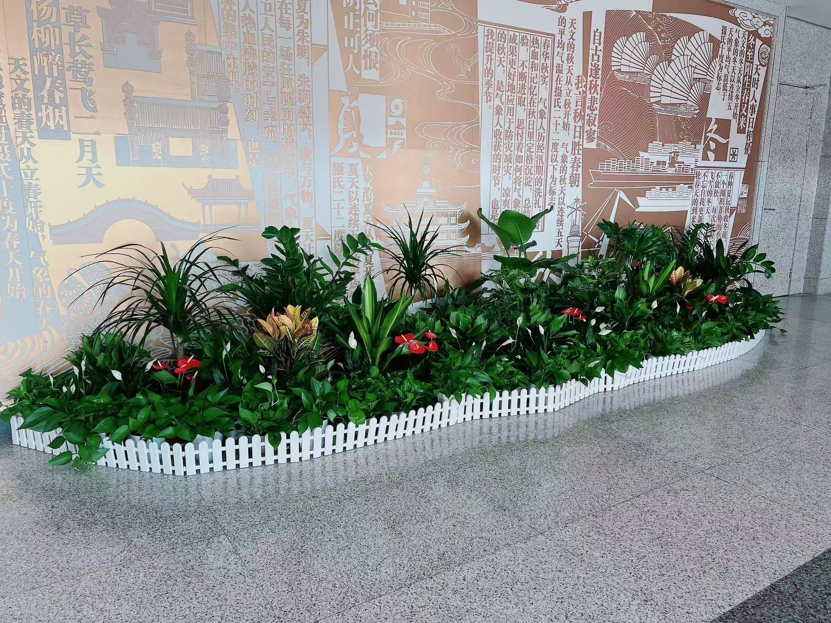 北仑花卉出租，价格亲民超实惠，绿植装点美空间